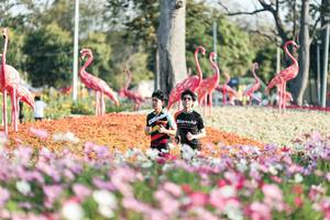 BIB: 
                            <button type="button" onclick="openModal(27344292)" class="btn btn-primary btn-sm float-right btn-popup" data-toggle="modal" data-target=".modal-high-quality">
                        <i class="fas fa-shopping-cart"></i> Add to Cart
                    </button>
                                            <button type="button" onclick="isThisMe(27344292, true)" class="btn btn-success btn-sm float-right btn-popup btn-isme hidden" data-toggle="tooltip" data-placement="bottom" title="นี่คือรูปของคุณใช่ไหม คลิกที่นี่เพื่อเอาเข้าอัลบั้ม">
                        <i class="fas fa-plus"></i> Add to album
                    </button>
                    <button type="button" onclick="isThisMe(27344292, false)" class="btn btn-warning btn-sm float-right btn-popup btn-isnotme hidden">
                        <i class="fas fa-ban"></i> Remove from album
                    </button>